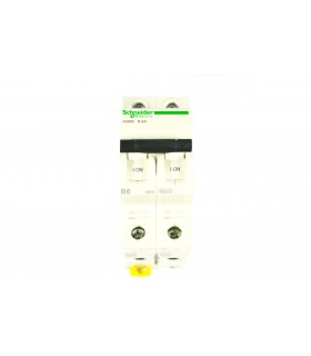 ACTI9 - IC60N DISJONCTEUR 2P 6A COURBE B - CERTIF NF - A9F76206