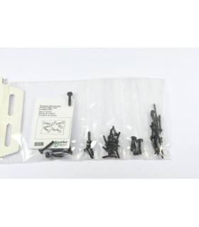 SACHET DE VISSERIE COMPACT NSX400 630 ACCESSOIRE DISJONCTEUR - LV432552