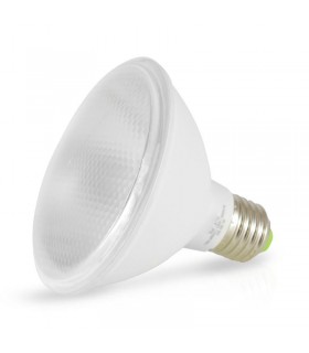 Miidex - 100001 - 3701124429285