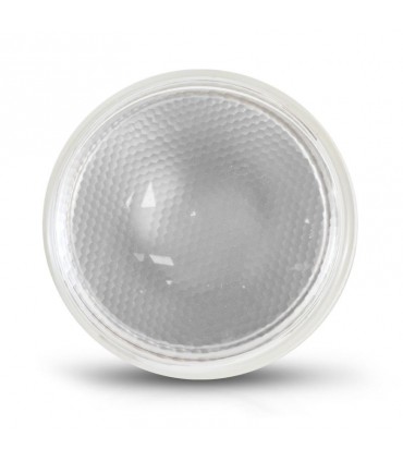 Miidex - 100001 - 3701124429285