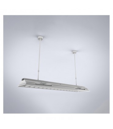 Miidex - 100002 - 3701124429261