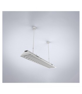 Miidex - 100002 - 3701124429261