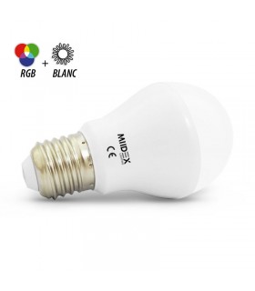 Miidex - 100004 - 3701124428394