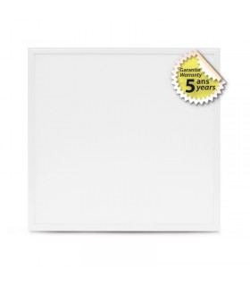 Miidex - 100006 - 3701124429308