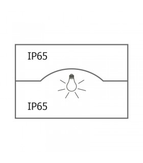 Miidex - 100006 - 3701124429308
