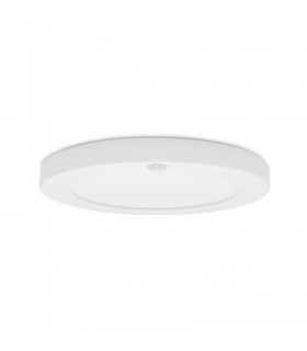 Miidex - 100010 - 3701124427090