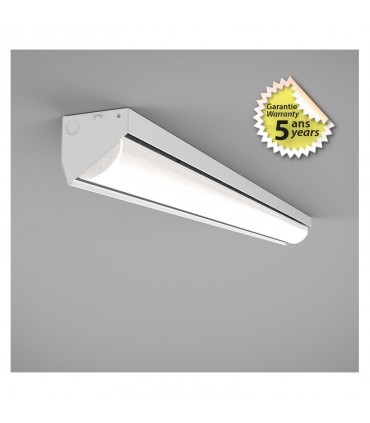 Miidex - 100105 - 3701124428080