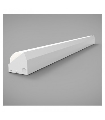 Miidex - 100105 - 3701124428080