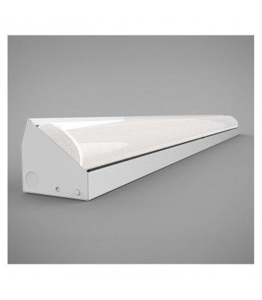 Miidex - 100105 - 3701124428080