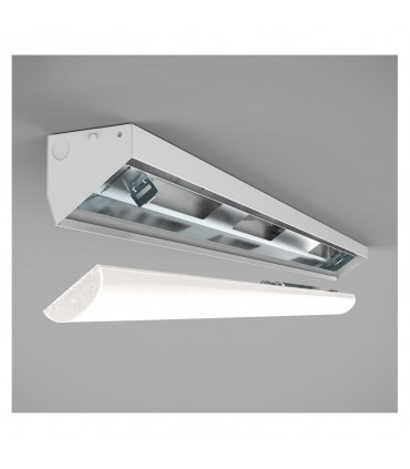 Miidex - 100105 - 3701124428080