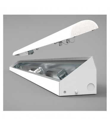 Miidex - 100105 - 3701124428080