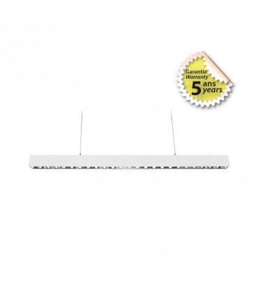 Miidex - 100177 - 3701124429971