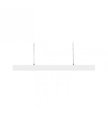 Miidex - 100177 - 3701124429971