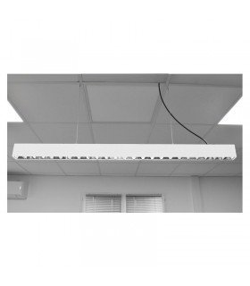 Miidex - 100177 - 3701124429971