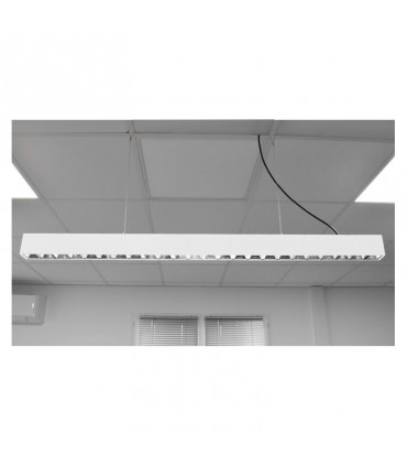 Miidex - 100177 - 3701124429971