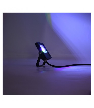 Miidex - 100184 - 3701124430007