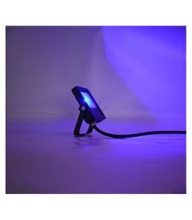 Miidex - 100184 - 3701124430007