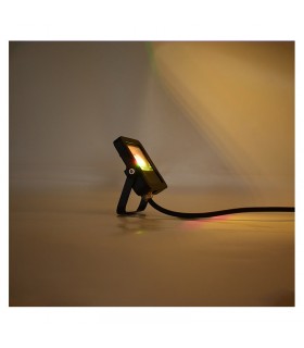 Miidex - 100184 - 3701124430007