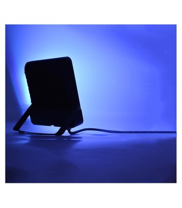 Miidex - 100185 - 3701124430014