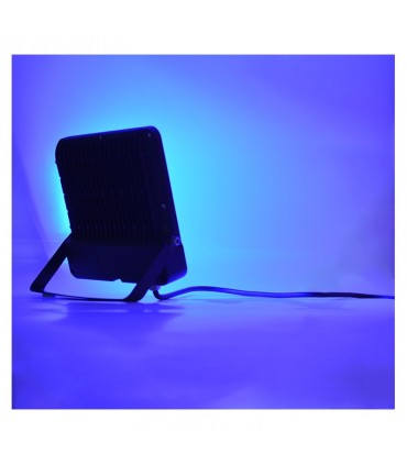 Miidex - 100185 - 3701124430014