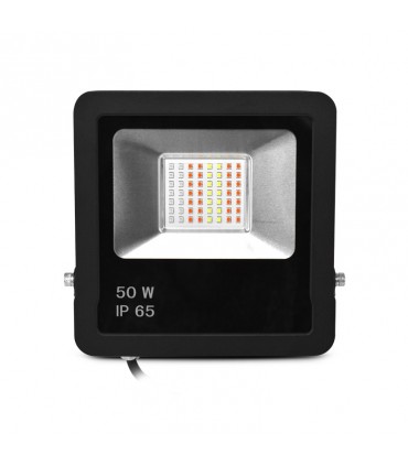 Miidex - 100186 - 3701124430021