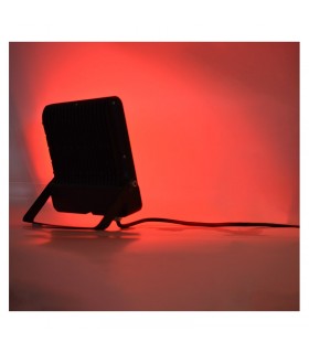 Miidex - 100186 - 3701124430021