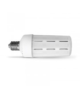 Miidex - 100207 - 3701124430281