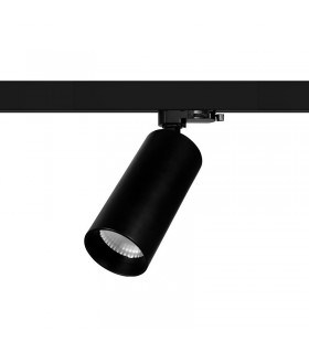 Miidex - 100216 - 3701124430373