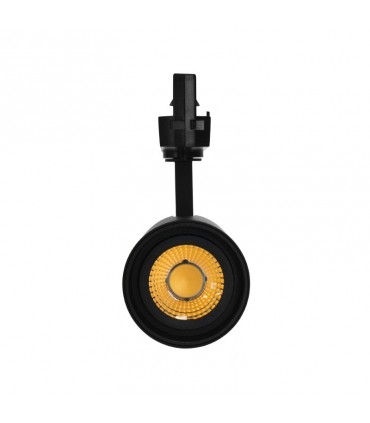 Miidex - 100229 - 3701124430502