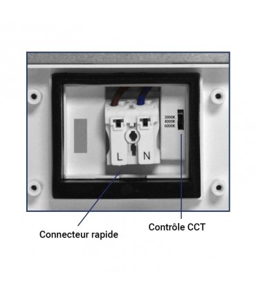 Miidex - 100234 - 3701124430557