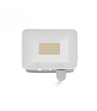 Miidex - 100242 - 3701124430632