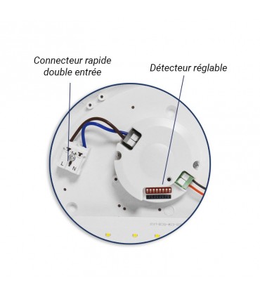 Miidex - 100255 - 3701124430779