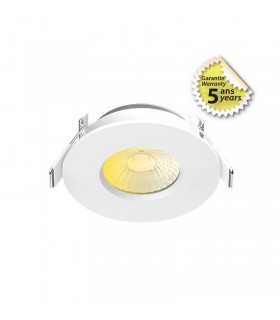 Miidex - 100269 - 3701124430915