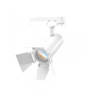 Miidex - 100298 - 3701124431226