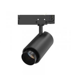 Miidex - 100307 - 3701124431318