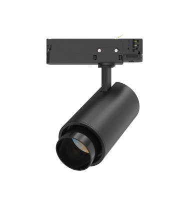 Miidex - 100307 - 3701124431318