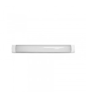 Miidex - 100332 - 3701124431578