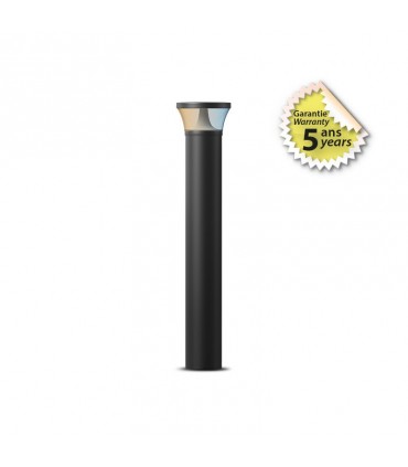 Miidex - 100343 - 3701124431684