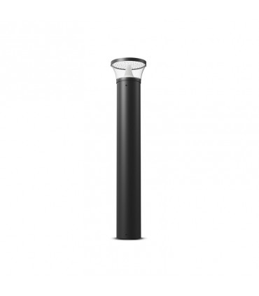 Miidex - 100343 - 3701124431684