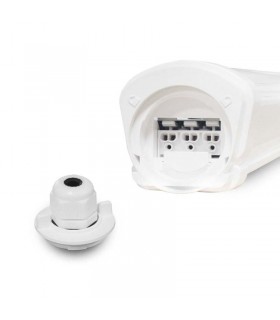 Miidex - 150121 - 3701124429926