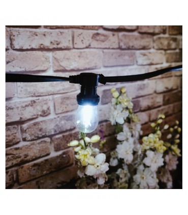 Miidex - 51012 - 3701124425294