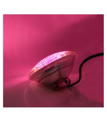 Miidex - 6107 - 3701124423948