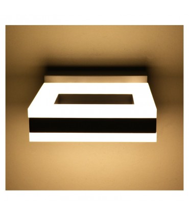 Miidex - 67753 - 3701124406729