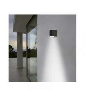 Miidex - 7003 - 3701124416803