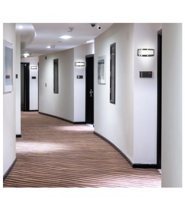 Miidex - 7025 - 3701124402998