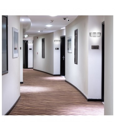 Miidex - 7025 - 3701124402998