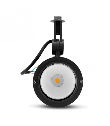 Miidex - 7028 - 3760173777464