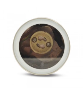 Miidex - 7028 - 3760173777464