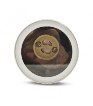 Miidex - 7028 - 3760173777464