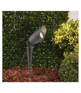 Miidex - 7028 - 3760173777464